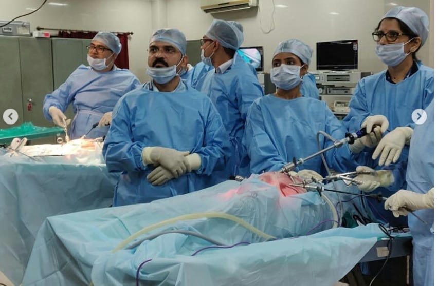 Demonstration On Pig Cadaver